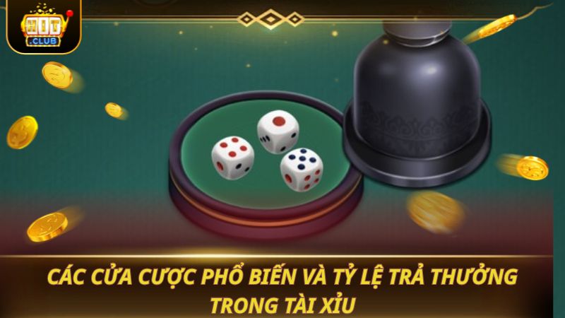 Các cửa cược phổ biến và tỷ lệ trả thưởng trong Tài Xỉu
