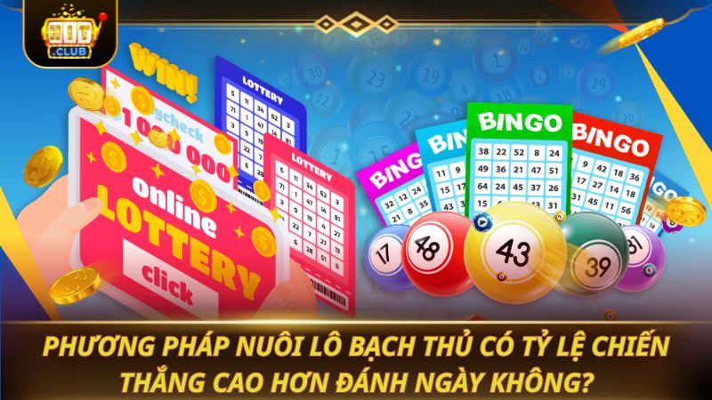 Phương pháp nuôi lô bạch thủ có tỷ lệ chiến thắng cao hơn đánh ngày không?