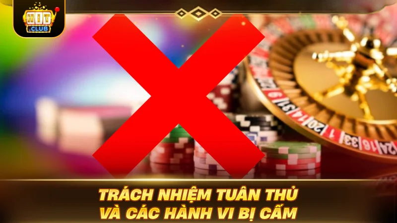 Trách nhiệm tuân thủ và các hành vi bị cấm